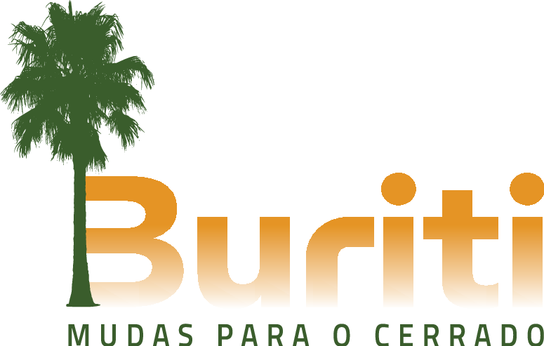 logo buriti