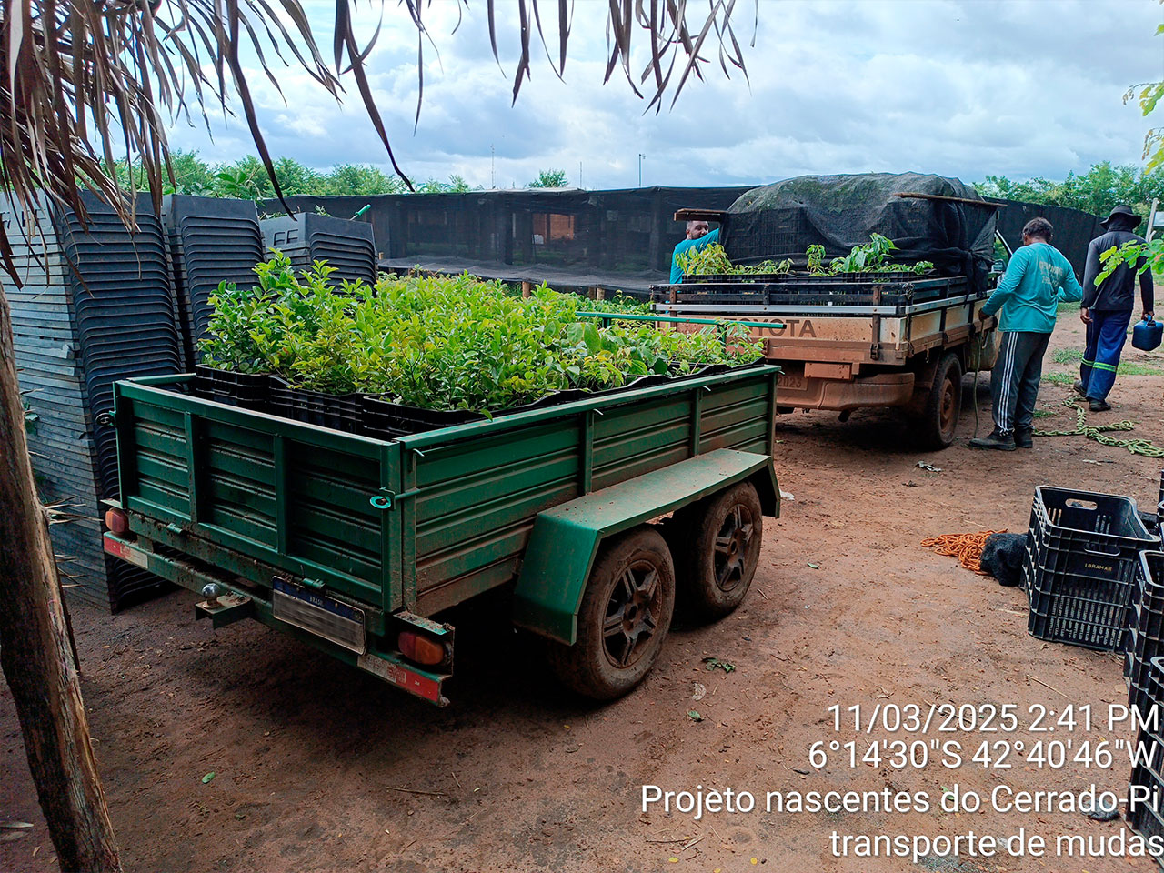 imagem-6